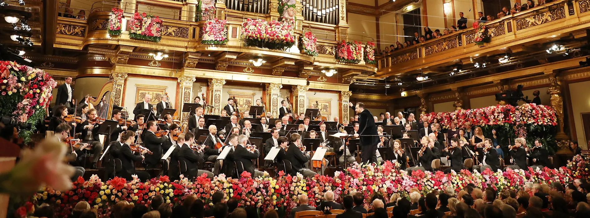School Cultural Trip to Vienna