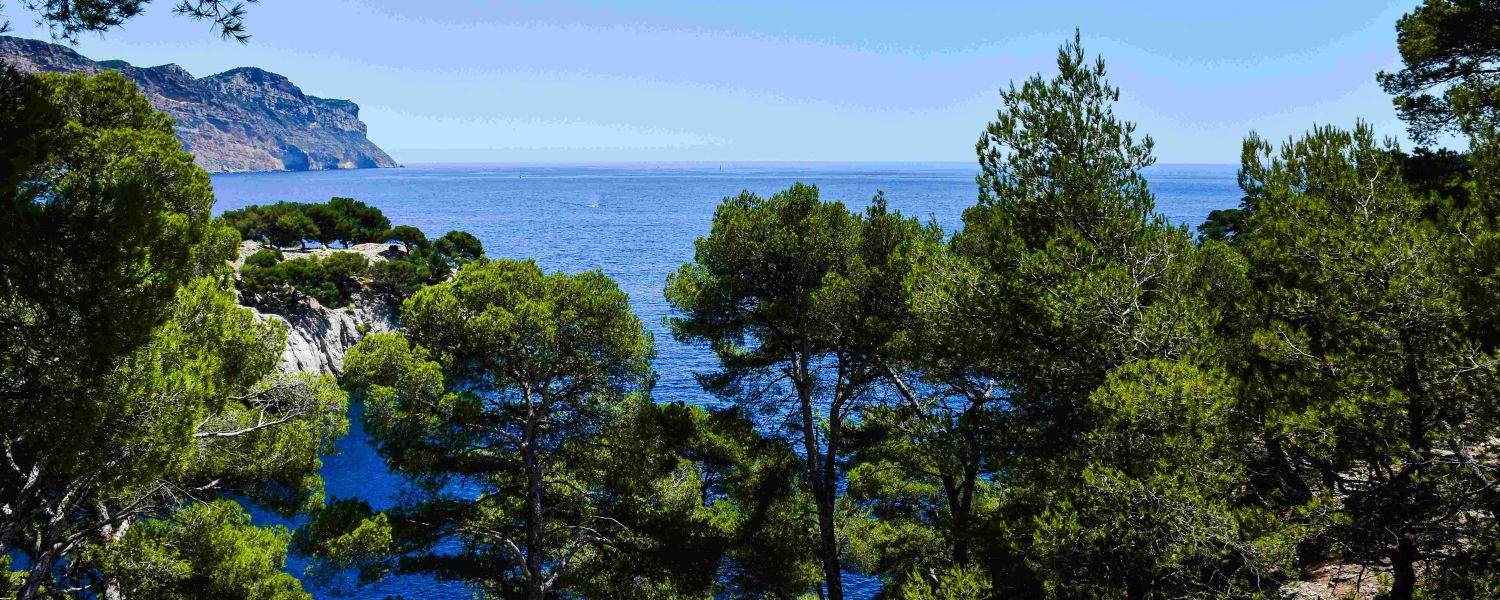 School Language Trip to Marseille