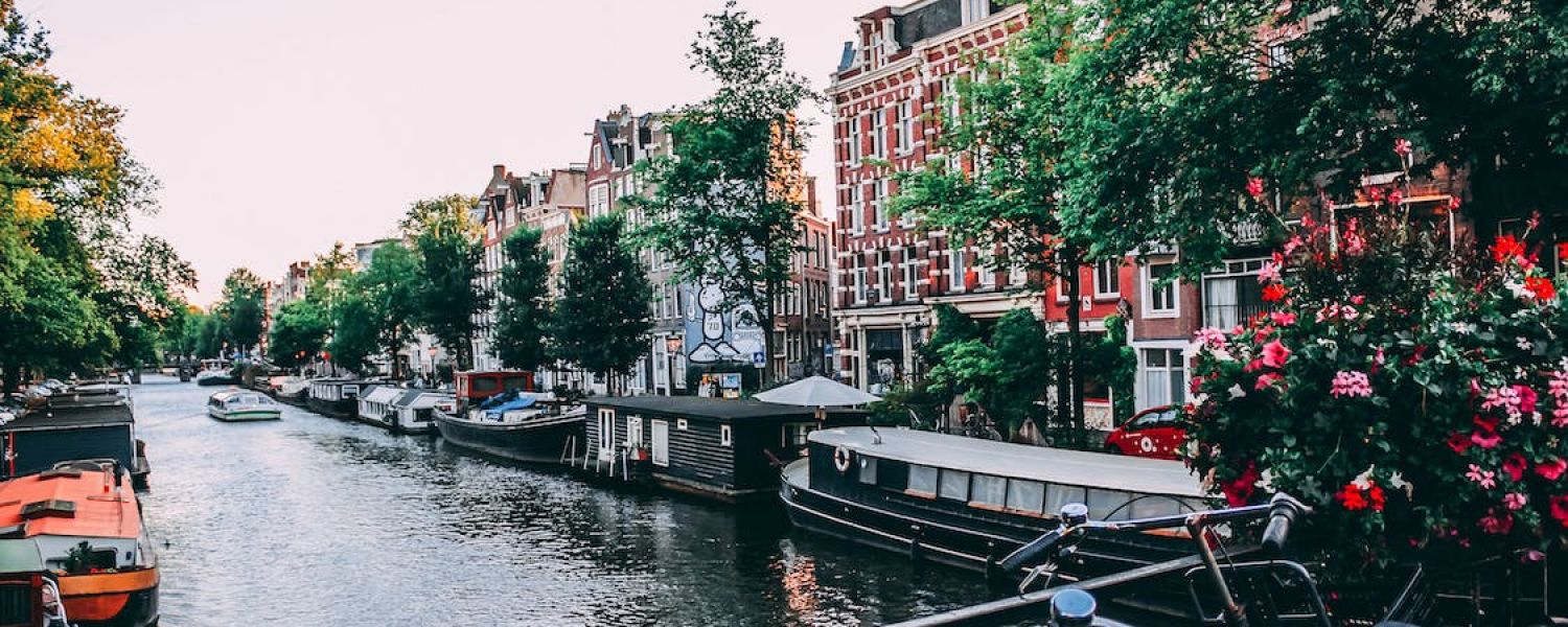 School Art Trip to Amsterdam