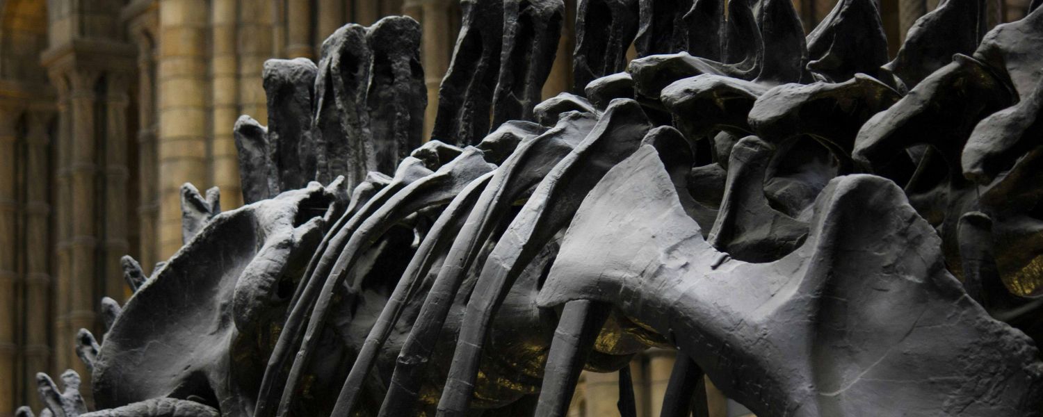 School Science Trip to London