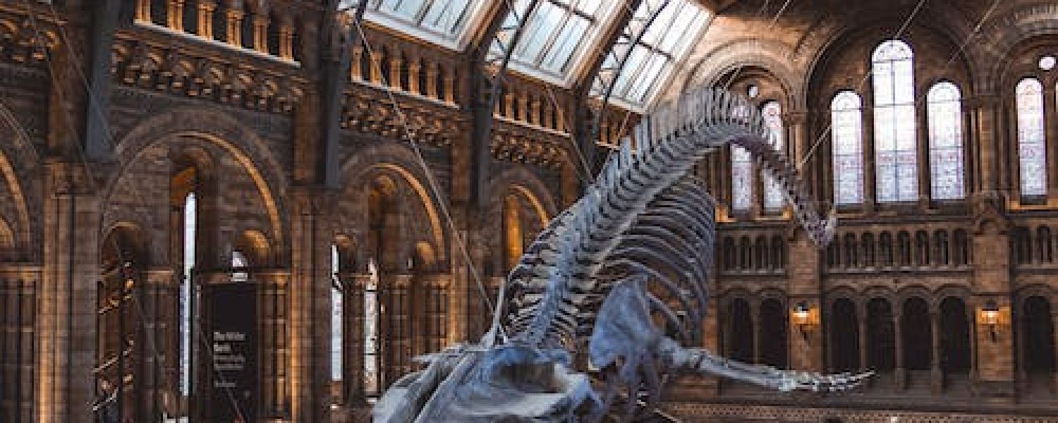 School Cultural Trip to London