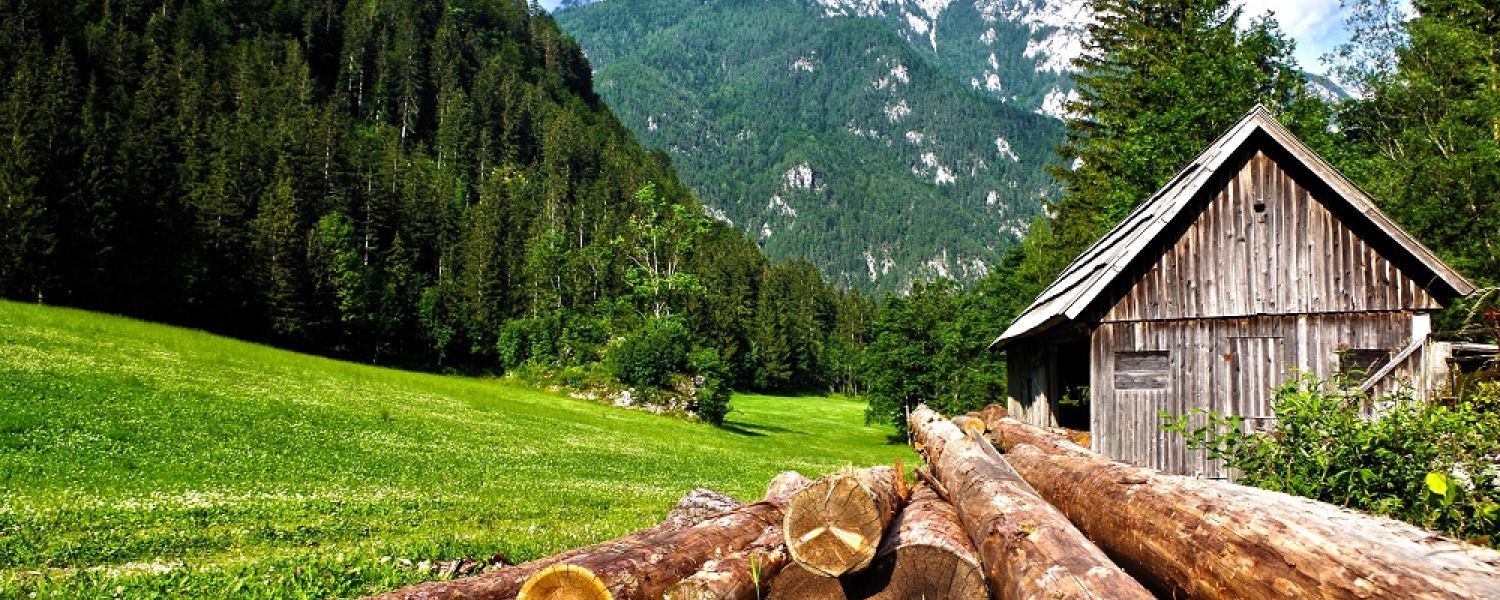 School Spanish Language Trip to The Pyrenees
