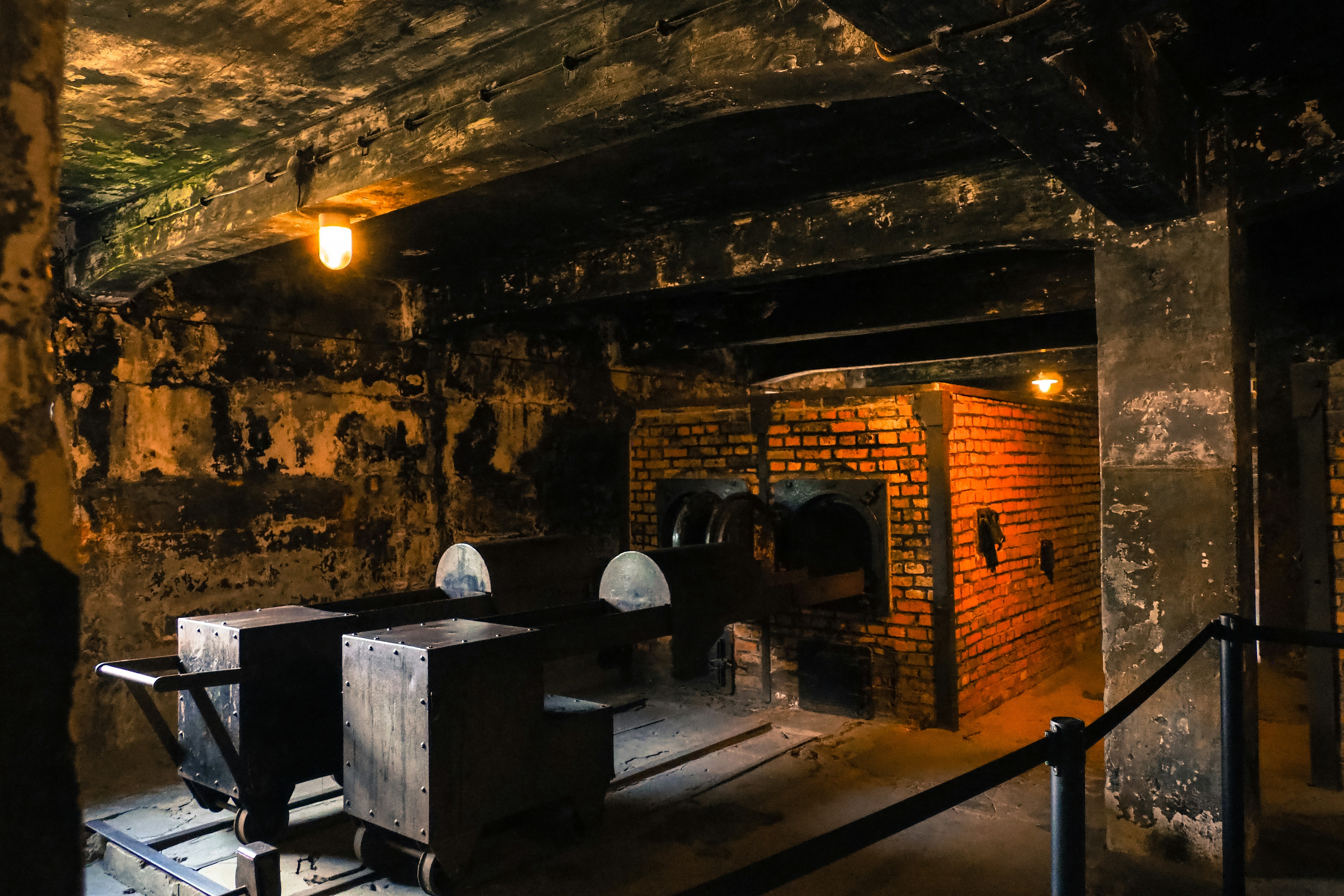 auschwitz school trip in krakow