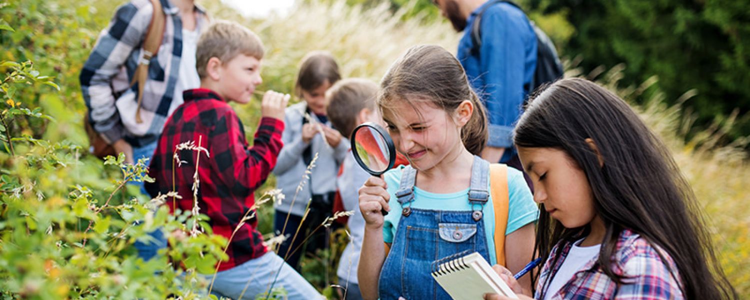 Fun Maths School Trips to Boost Numeracy Skills